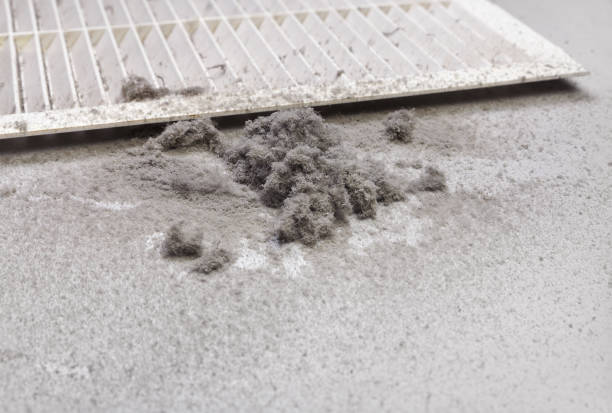 Best Affordable Air Duct Cleaning  in Shenandoah, IA