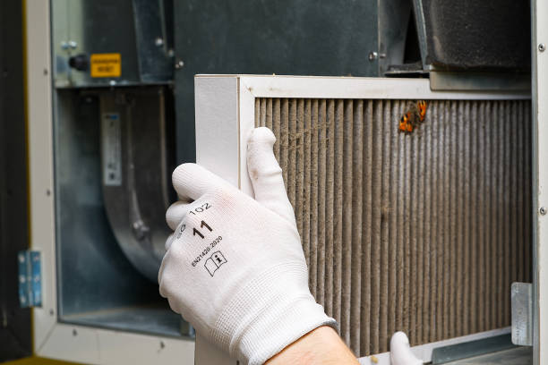 Best Air Duct Cleaning Near Me  in Shenandoah, IA