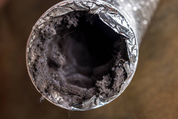 Air Duct Mold Removal in Shenandoah, IA