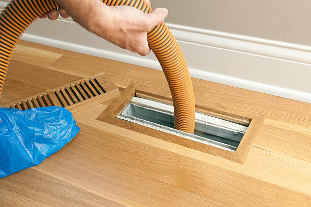 Best Home Air Vent Cleaning  in Shenandoah, IA